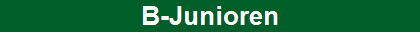HoriLine1